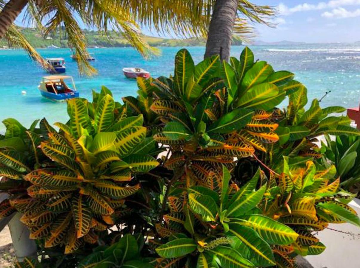 Bequia Beachfront Villa Hotel Friendship Buitenkant foto
